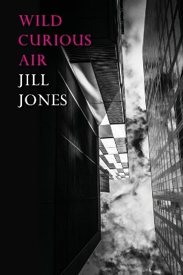 Wild Curious Air book