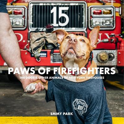 Paws of Firefighters: The Dogs & Other Animals of New York Firehouses book