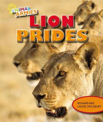 Lion Prides by Richard Spilsbury
