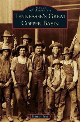 Tennessee's Great Copper Basin by Harriet Frye