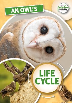 An Owl's Life Cycle book