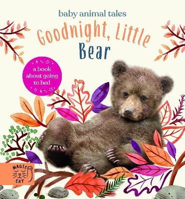 Goodnight, Little Bear: A Book About Going to Bed book