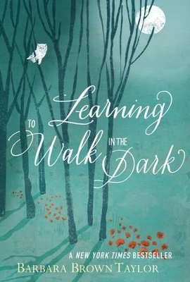 Learning to Walk in the Dark book