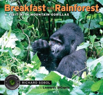 Breakfast In The Rainforest: A Visit Wit book