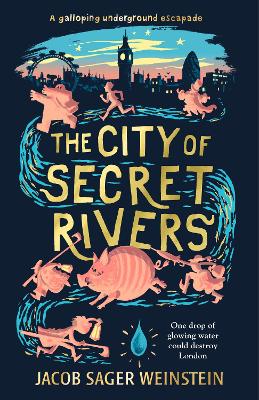 The The City of Secret Rivers by Jacob Sager Weinstein