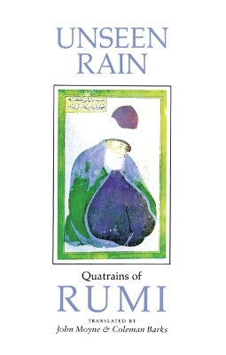Unseen Rain book