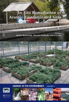 In-Situ Remediation of Arsenic-Contaminated Sites by Jochen Bundschuh