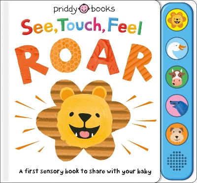 See, Touch, Feel Roar book
