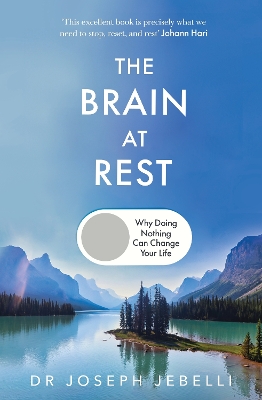 The Brain at Rest: Why doing nothing can change your life book