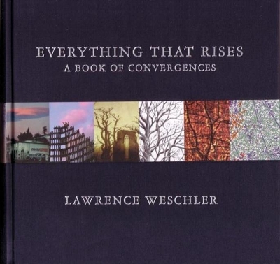 Everything That Rises by Lawrence Weschler