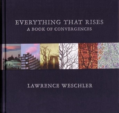 Everything That Rises book