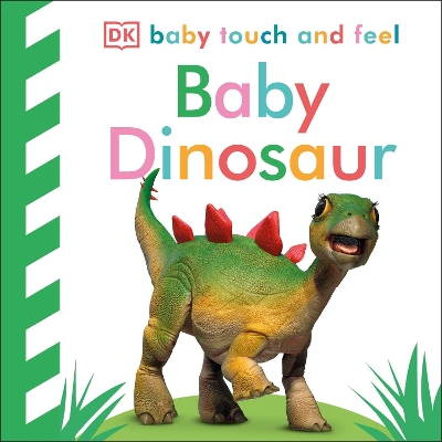 Baby Touch and Feel Baby Dinosaur book