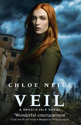 Veil book