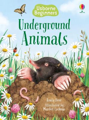 Underground Animals book