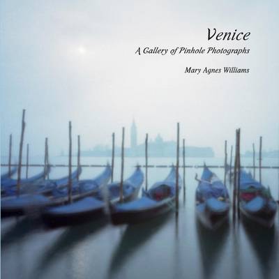 Venice a Gallery of Pinhole Photographs book