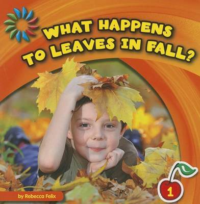 What Happens to Leaves in Fall? by Rebecca Felix