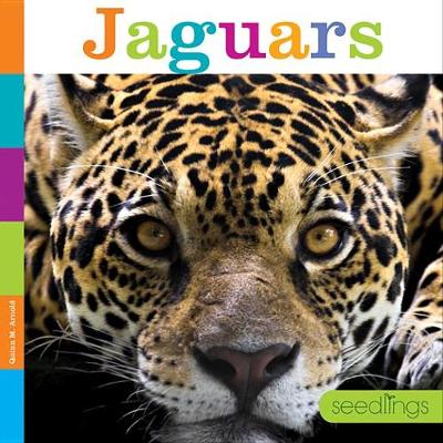 Jaguars book