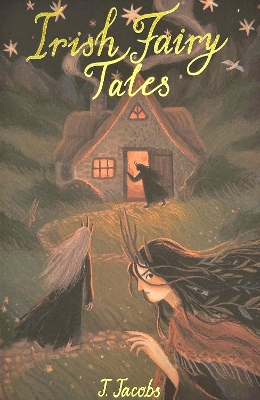 Irish Fairy Tales book