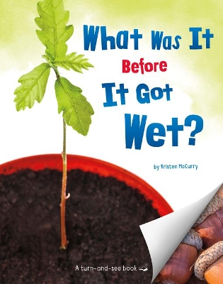 What Was It Before It Got Wet? book