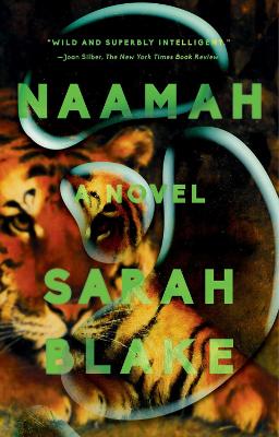 Naamah: A Novel by Sarah Blake