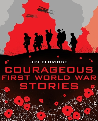 Courageous First World War Stories book
