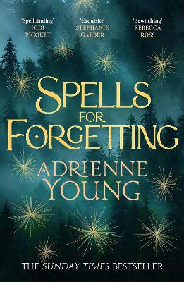Spells for Forgetting: the spellbinding magical mystery, perfect for winter nights by Adrienne Young