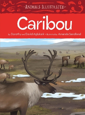 Animals Illustrated: Caribou book