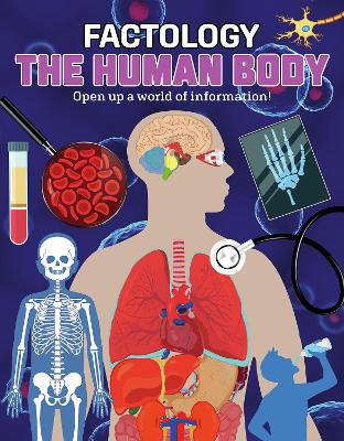 Factology: The Human Body: Open Up a World of Information! book