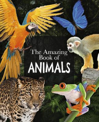 The Amazing Book of Animals book
