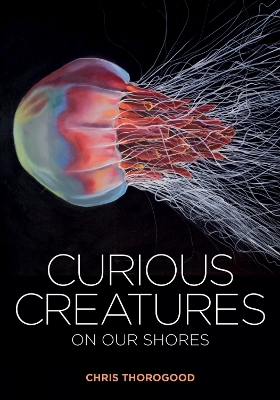 Curious Creatures on our Shores book