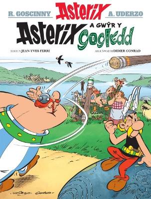 Asterix a Gwŷr y Gogledd book
