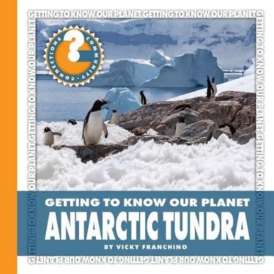 Antarctic Tundra by Vicky Franchino