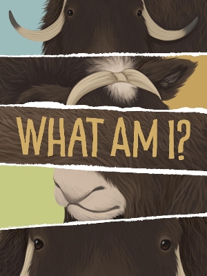 What Am I?: English Edition book