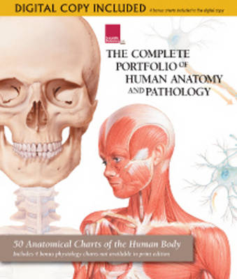 Complete Portfolio of Human Anatomy and Pathology book