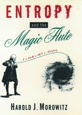 Entropy and the Magic Flute book