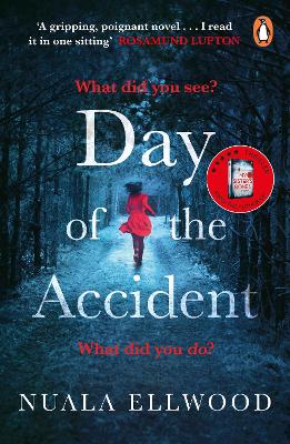 Day of the Accident book