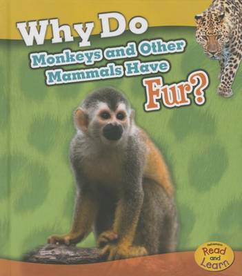 Why Do Monkeys and Other Mammals Have Fur? by Holly Beaumont