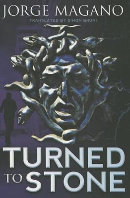 Turned to Stone book