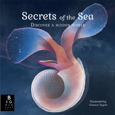 Secrets of the Sea book