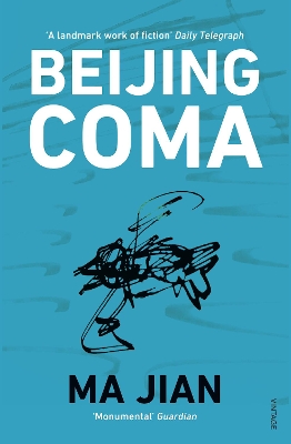 Beijing Coma book