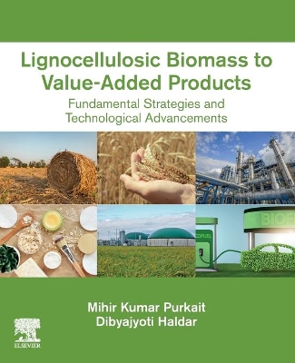 Lignocellulosic Biomass to Value-Added Products: Fundamental Strategies and Technological Advancements book