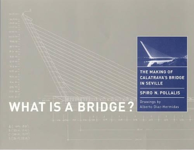 What Is a Bridge? book