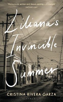 Liliana's Invincible Summer: A Sister's Search for Justice book