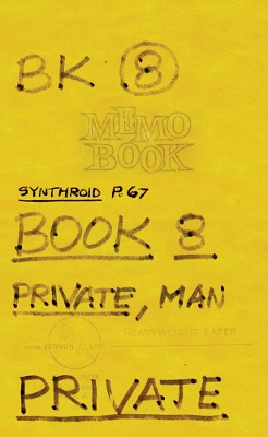 Lee Lozano: Private Book 8 book