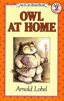 Owl at Home book