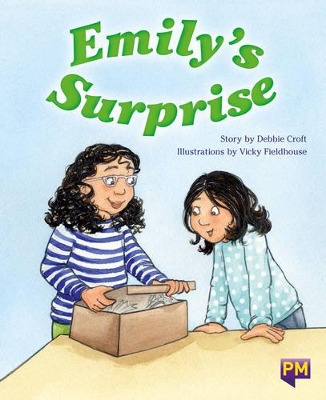 Emily's Surprise book