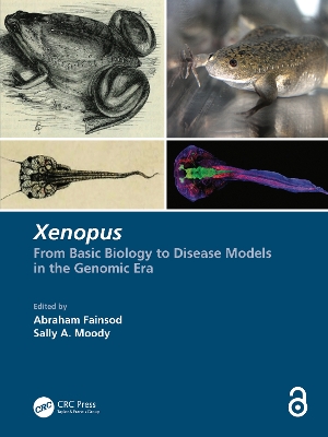 Xenopus: From Basic Biology to Disease Models in the Genomic Era book