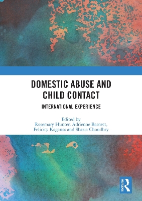 Domestic Abuse and Child Contact: International Experience by Rosemary Hunter
