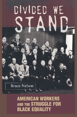 Divided We Stand book