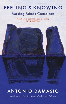 Feeling and Knowing: Making Minds Conscious book